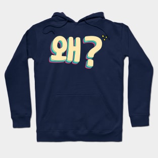 Why in Korean (왜) Hoodie